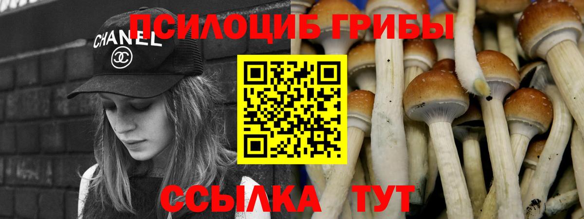 Галлюциногенные грибы мицелий Кирово-Чепецк